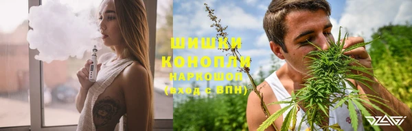 spice Гусиноозёрск