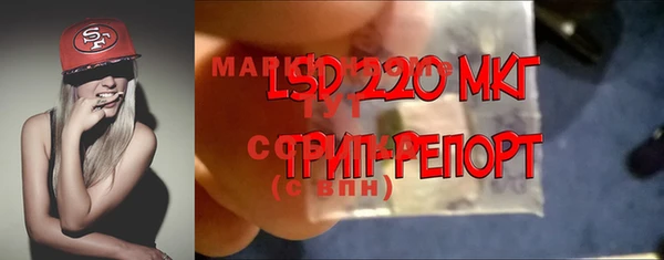 spice Гусиноозёрск