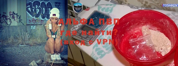 spice Гусиноозёрск