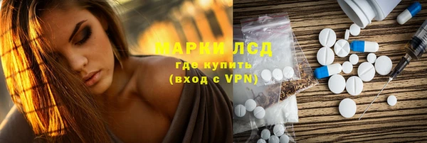 spice Гусиноозёрск
